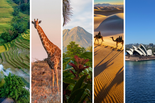 Collage_die_Lust_auf_Urlaub_macht